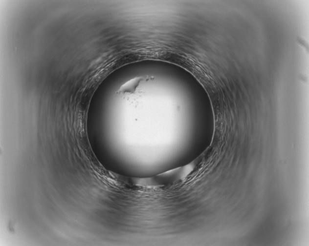 X0000095551058200712281601