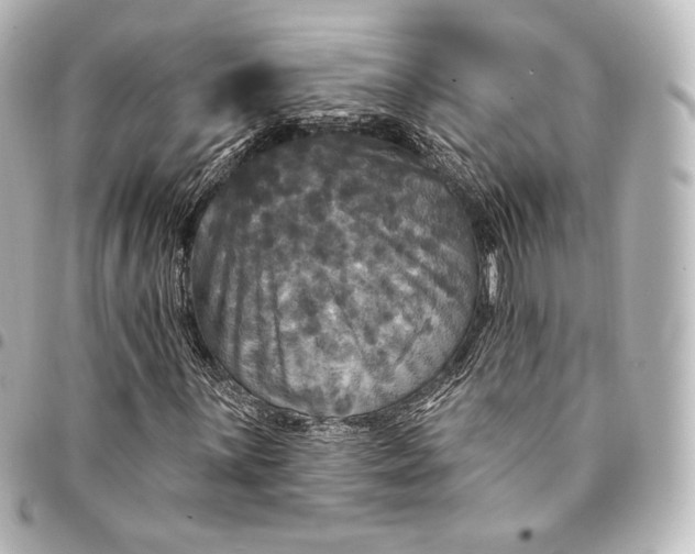 X0000095551059200712281601