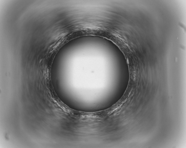 X0000095551061200712281601