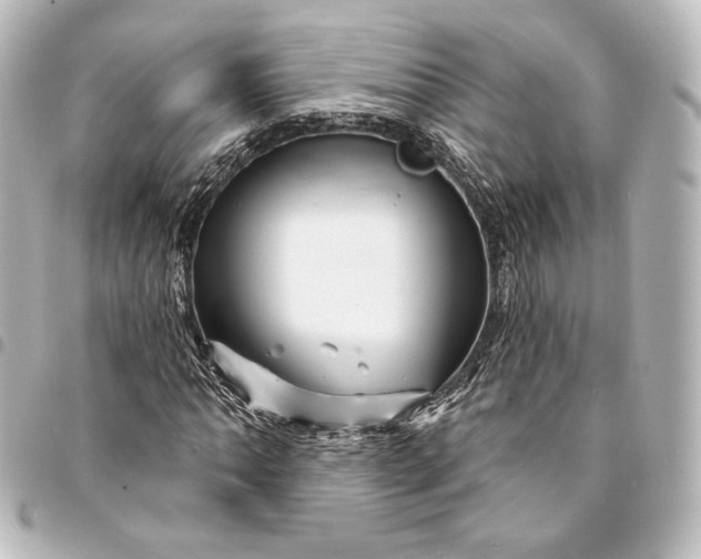 X0000095551062200712281601