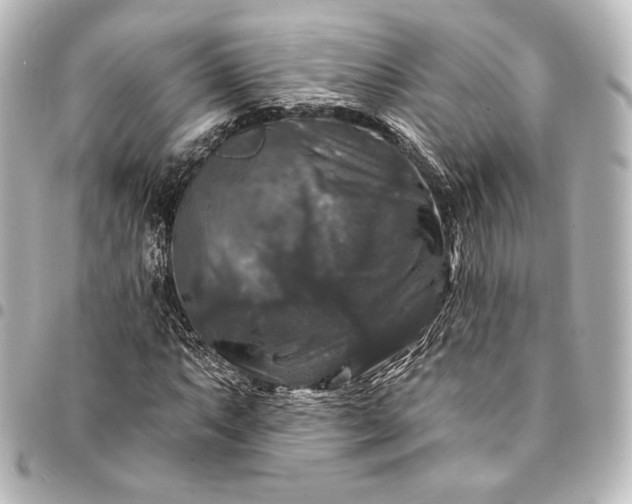 X0000095551063200712281601