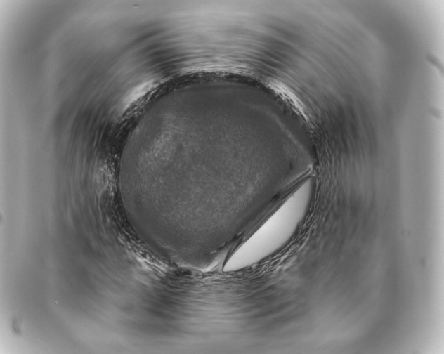 X0000095551064200712281601