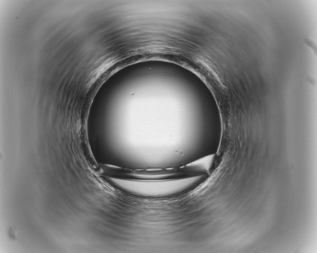 X0000095551065200712281601