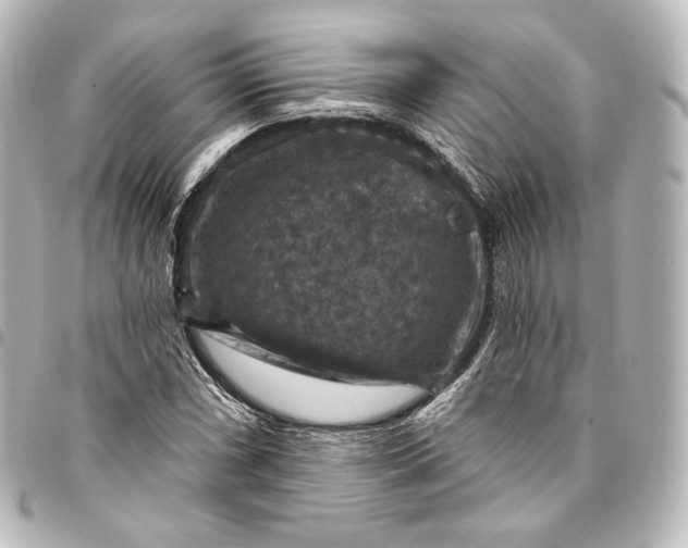 X0000095551066200712281601