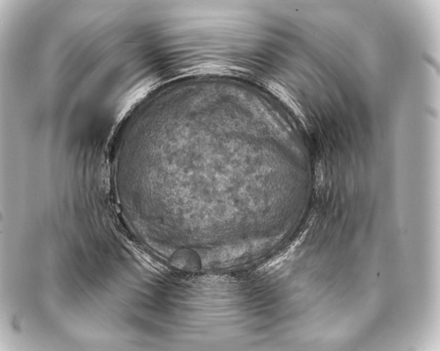 X0000095551067200712281601