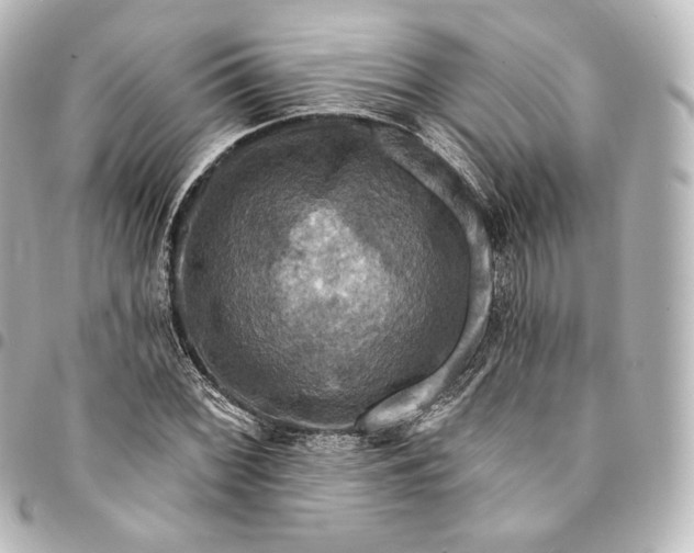 X0000095551068200712281601