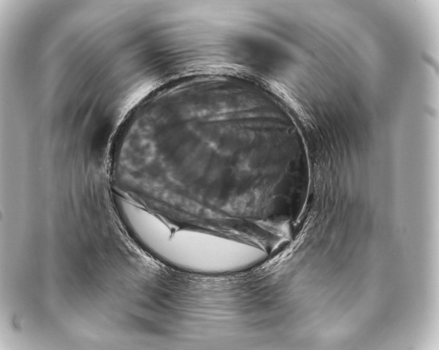 X0000095551071200712281601