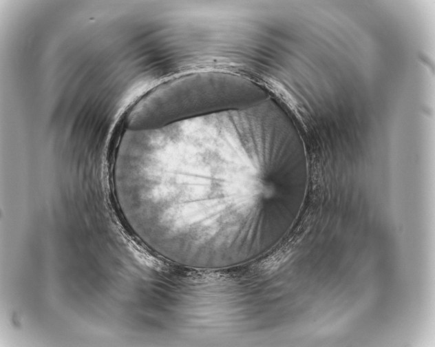 X0000095551072200712281601