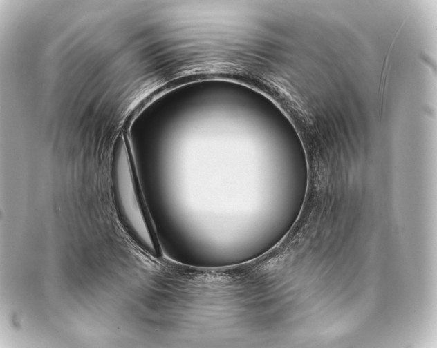 X0000095551073200712281601