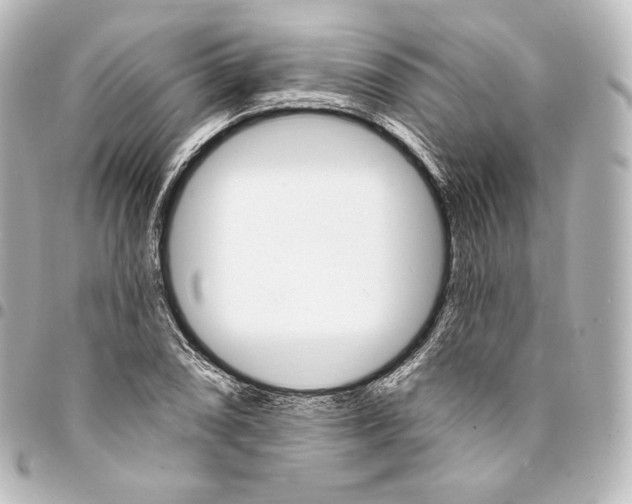 X0000095551074200712281601