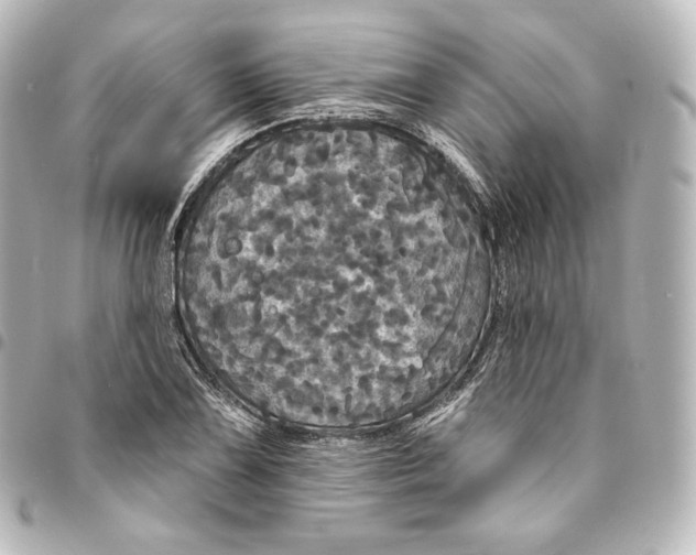 X0000095551075200712281601