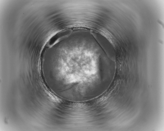 X0000095551076200712281601