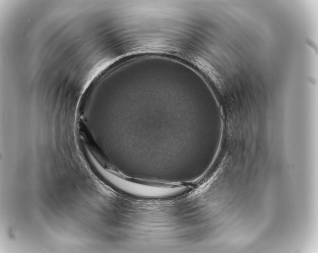 X0000095551077200712281601