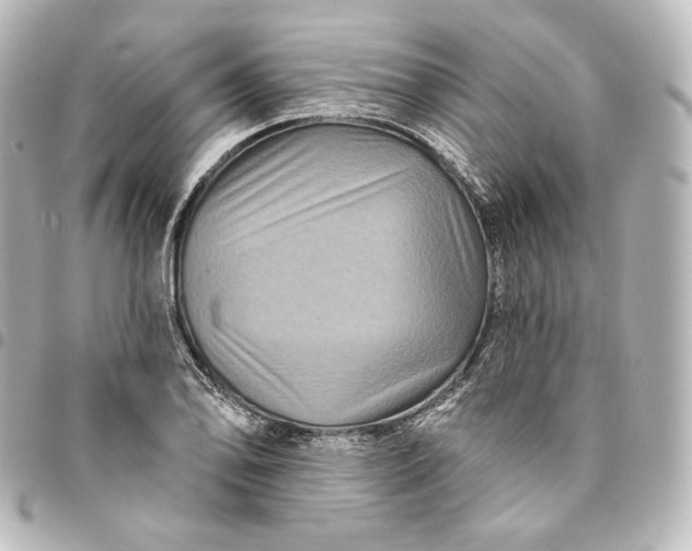 X0000095551078200712281601