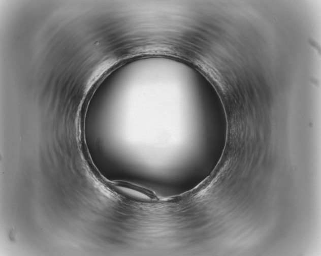 X0000095551082200712281601