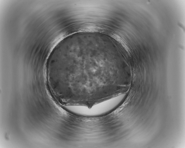 X0000095551083200712281601