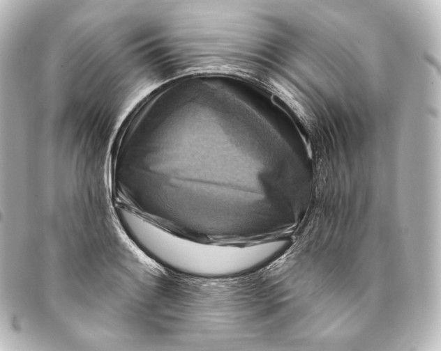 X0000095551084200712281601