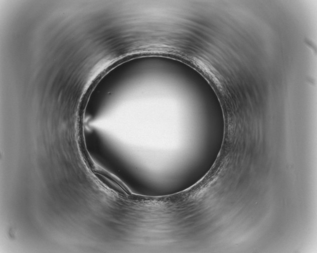 X0000095551085200712281601