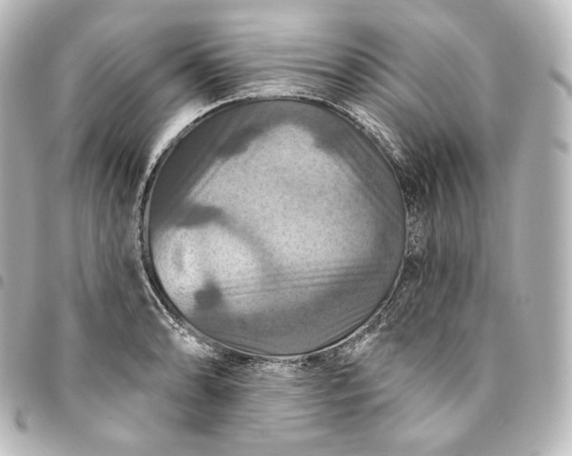 X0000095551086200712281601