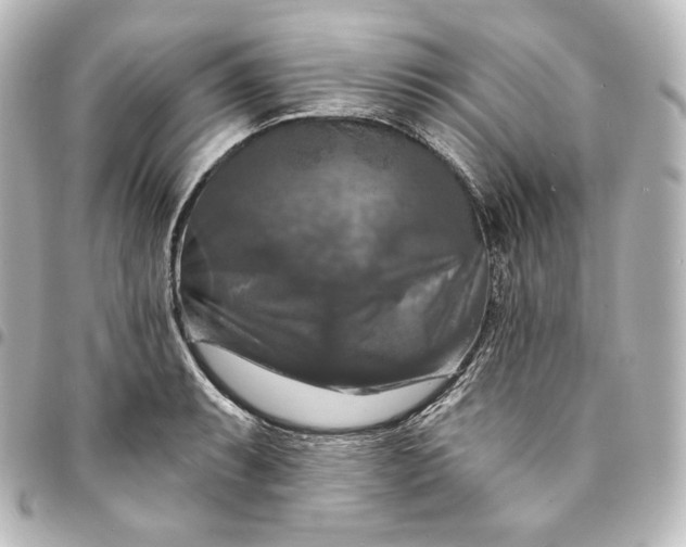 X0000095551087200712281601