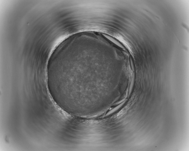 X0000095551088200712281601