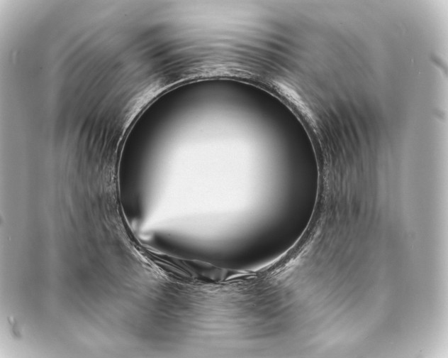 X0000095551089200712281601