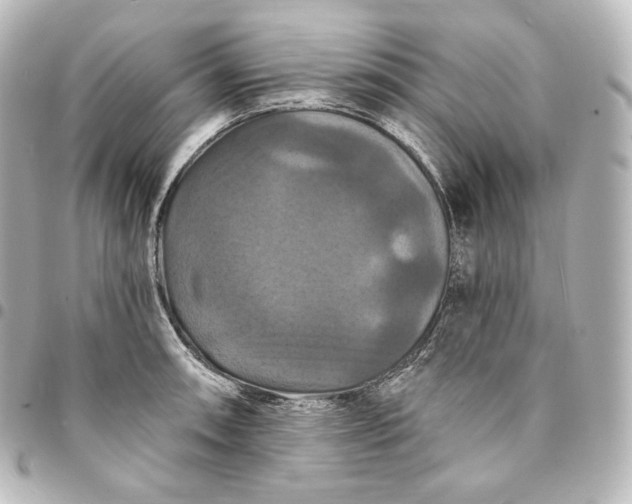 X0000095551090200712281601