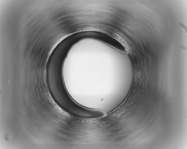 X0000095551092200712281601