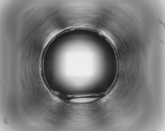 X0000095551093200712281601