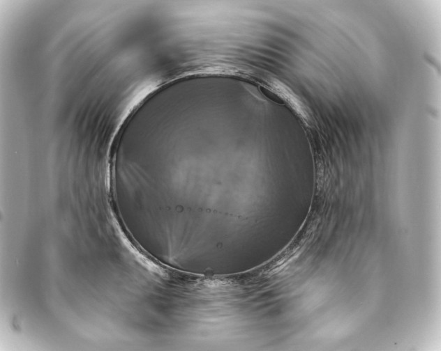 X0000095551095200712281601