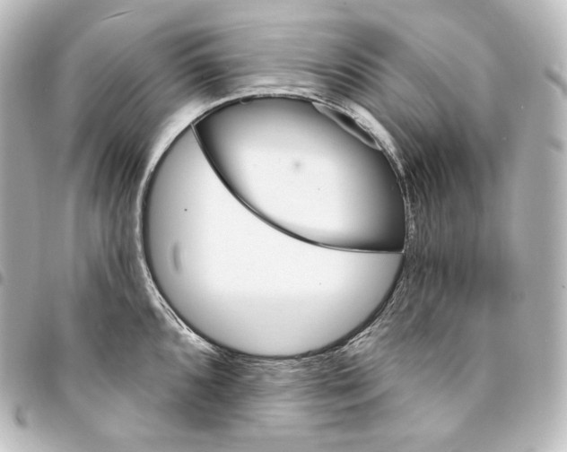 X0000095551096200712281601