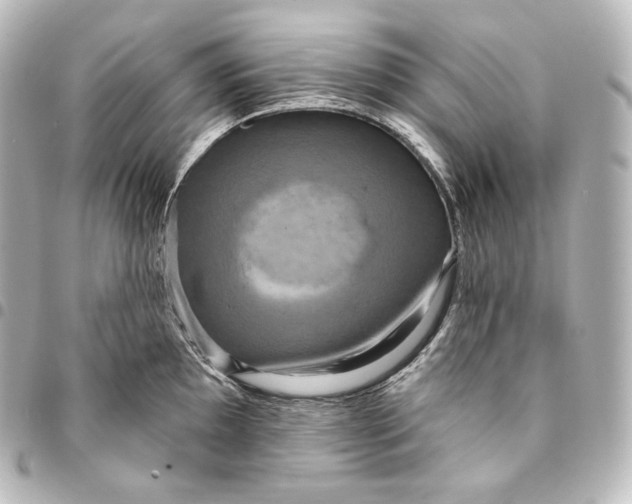 X0000095551097200712281601