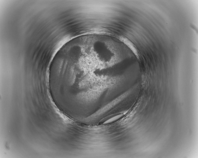 X0000095551099200712281601