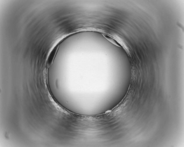 X0000095551100200712281600