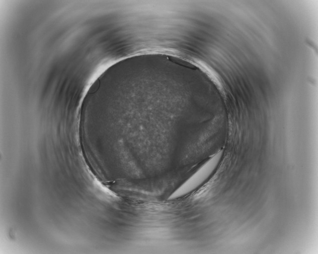 X0000095551102200712281600