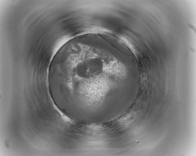 X0000095551103200712281600