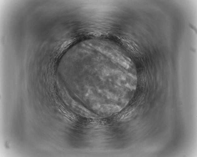 X0000095551105200712281600