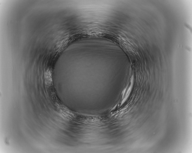 X0000095551106200712281600