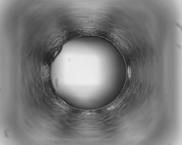 X0000095551107200712281600