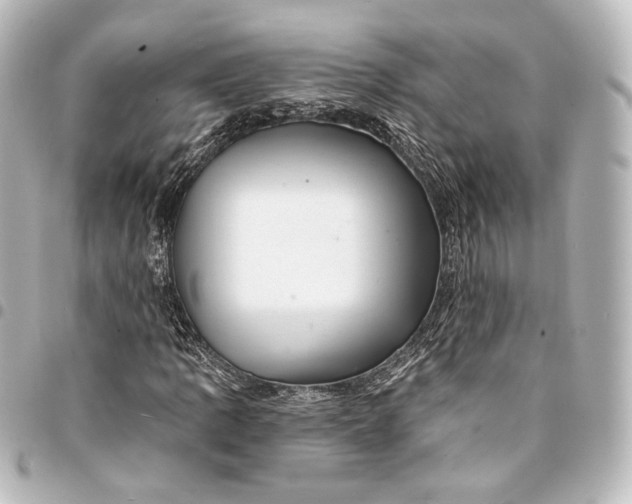 X0000095551109200712281600