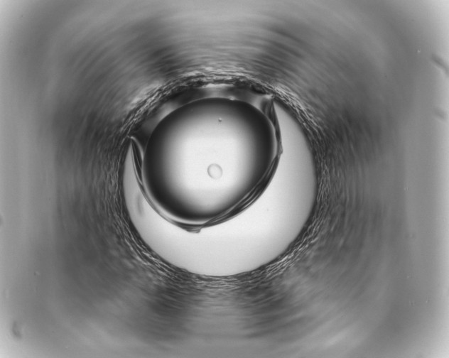 X0000095551110200712281600