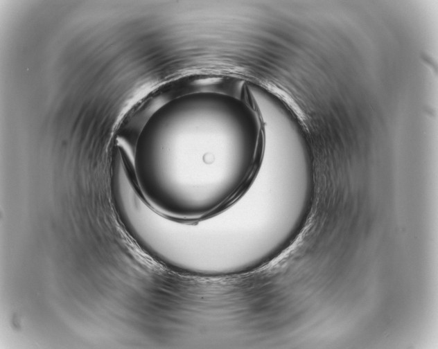 X0000095551114200712281600