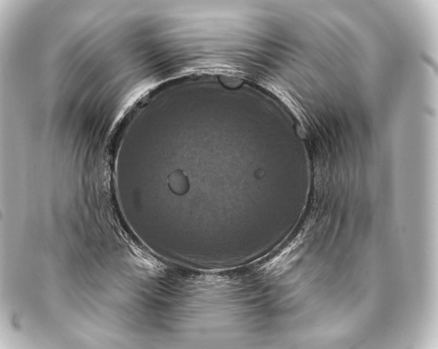 X0000095551115200712281600