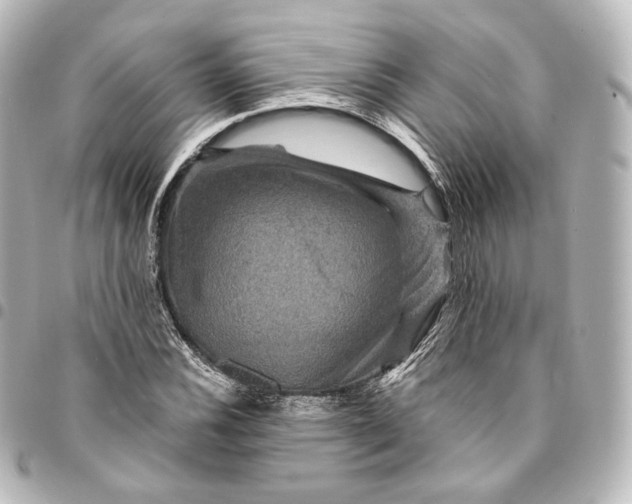 X0000095551116200712281600