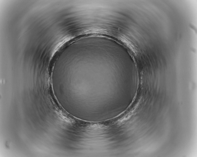 X0000095551117200712281600