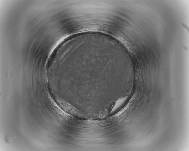 X0000095551118200712281600