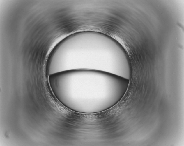 X0000095551120200712281600