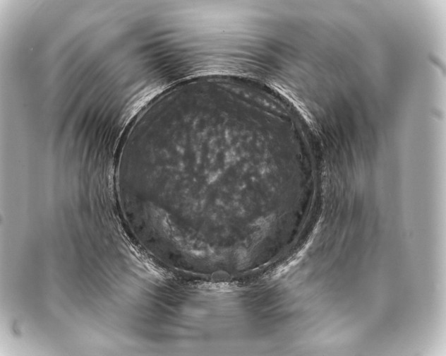 X0000095551121200712281600