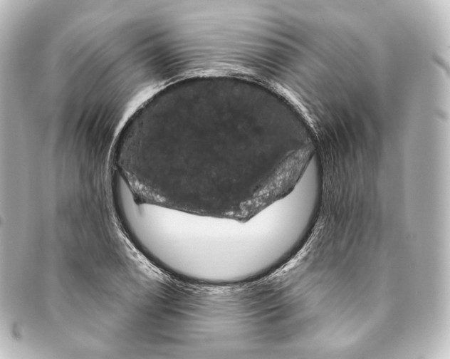 X0000095551122200712281600