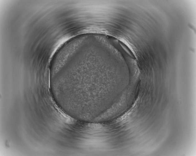 X0000095551123200712281600